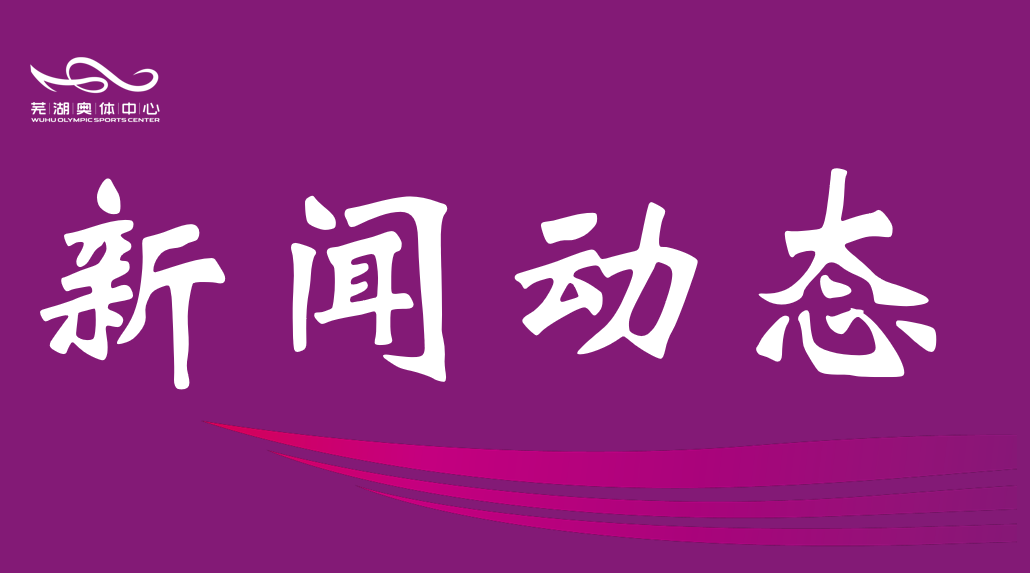2026年“奔跑吧·少年”芜湖市第三届幼儿体育大会暨第四届亲子运动会成功举办  ——市pg少林足球公司高质量完成承办保障工作